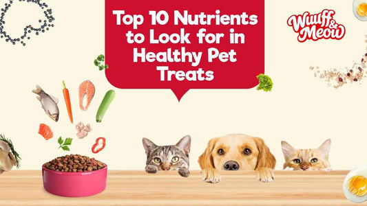 Top 10 Ingredients to Look for in Healthy Pet Treats - Wuuff&Meow