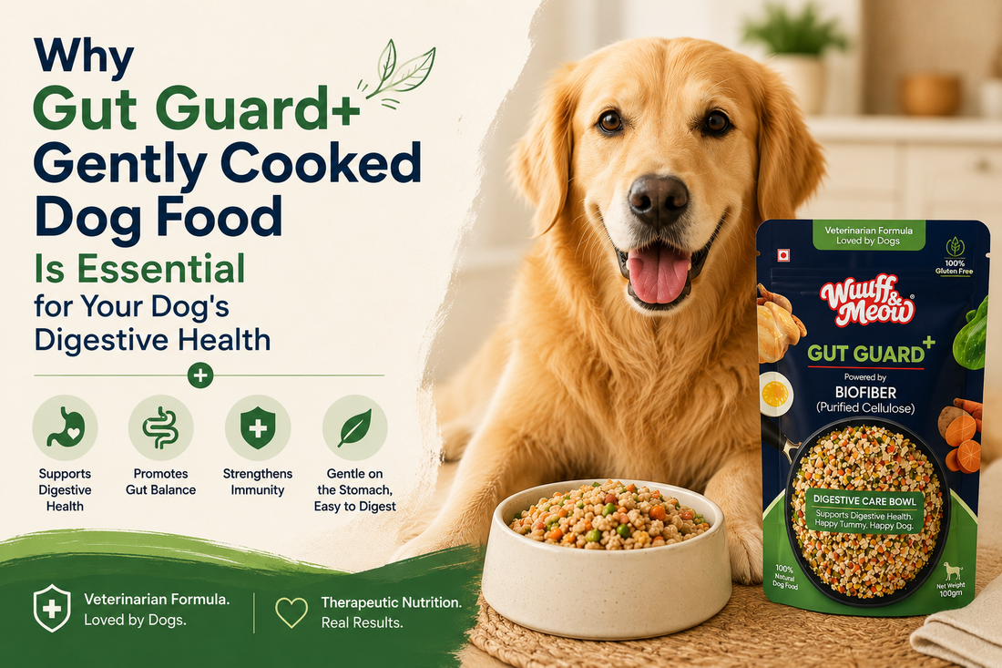Gut Guard+ Digestive Health Dog Food: Vet-Formulated Gut Care | Wuuff & Meow