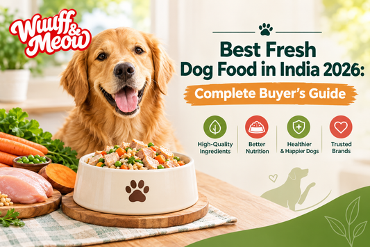 Best Fresh Dog Food in India 2026: Complete Buyer's Guide
