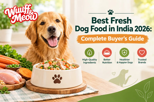 Best Fresh Dog Food in India 2026: Complete Buyer's Guide