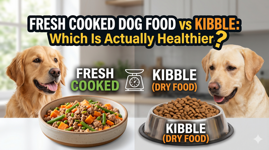 Fresh Cooked Dog Food vs Kibble: Which Is Actually Healthier? - Wuuff&Meow