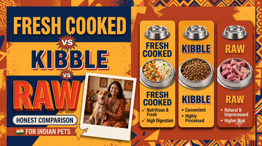 Fresh Cooked vs Kibble vs Raw: Honest Comparison for Indian Pets