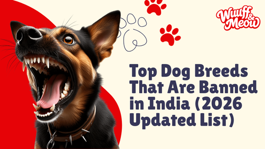 Top Dog Breeds That Are Banned in India (2026 Updated List) - Wuuff&Meow