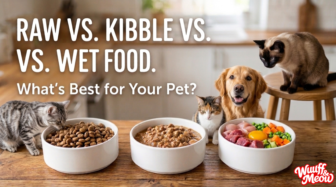 Raw vs. Kibble vs. Wet Food: What's Best for Your Pet? - Wuuff&Meow