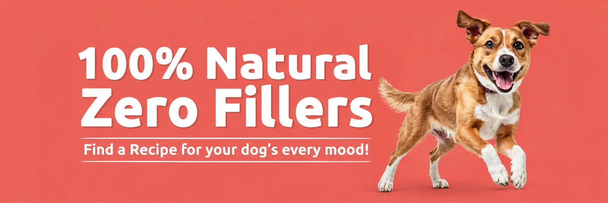 For Dogs