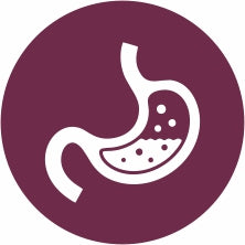 Healthy Digestion