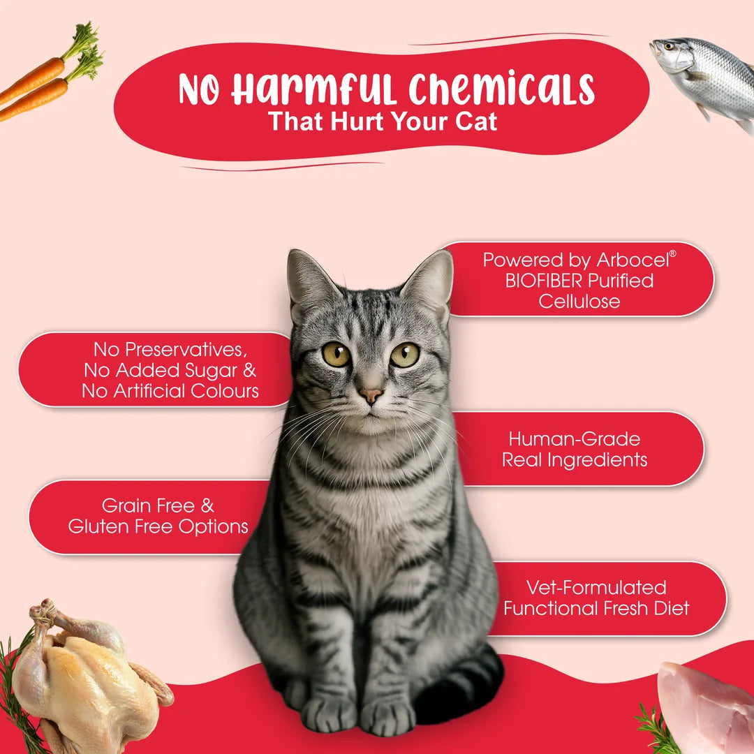 Chicken & Fish Fresh Cat Food Trial Pack - Zero Preservatives & Helps in Hairball Removal | Pack of 4