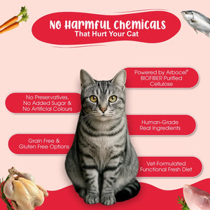 Chicken & Fish Fresh Cat Food Trial Pack - Zero Preservatives & Helps in Hairball Removal | Pack of 4