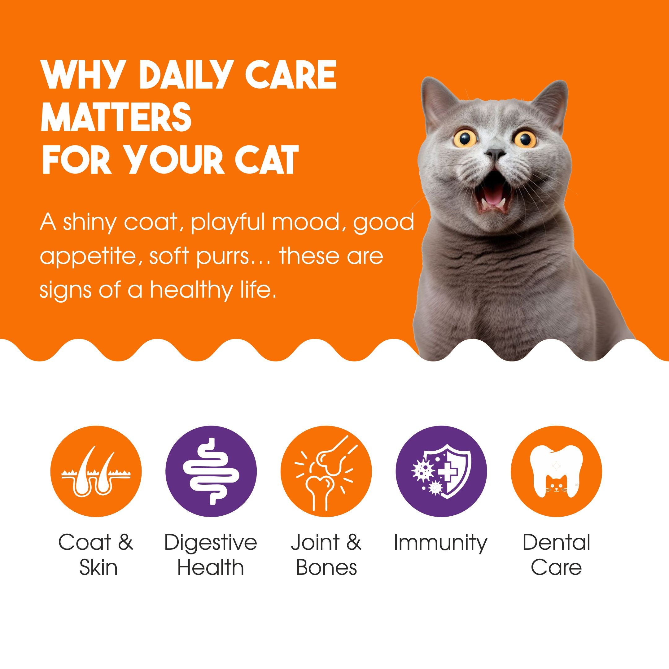 Wuuff&Meow GimCat Multi-Vitamin Paste for Cats Daily Vitality & Immune Support
