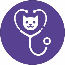 Vet Visit