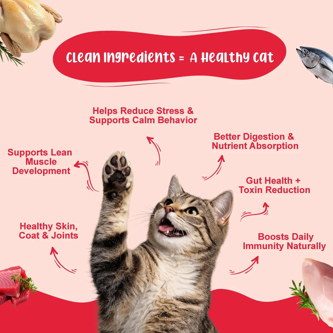 Chicken & Fish Fresh Cat Food Trial Pack - Zero Preservatives & Helps in Hairball Removal | Pack of 4