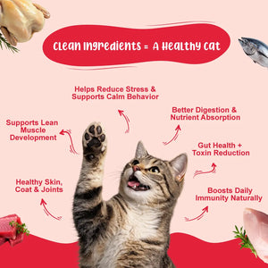 Chicken & Fish Fresh Cat Food Trial Pack - Zero Preservatives & Helps in Hairball Removal | Pack of 4