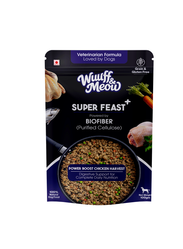 Power Boost Chicken Harvest Wet Dog Food: Gently Cooked Nutrition