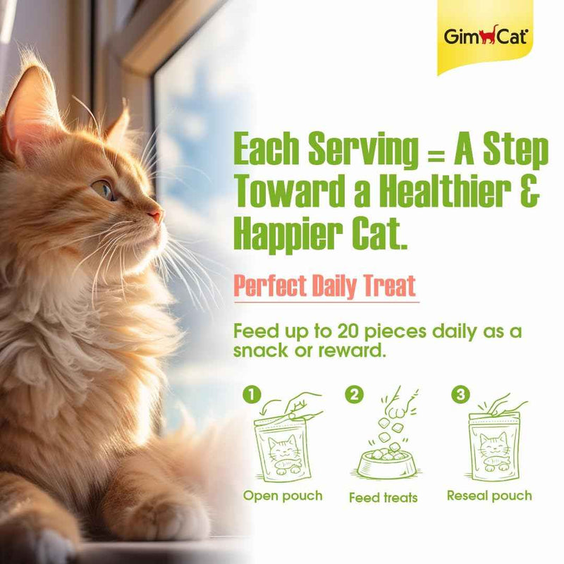 GimCat Rolls with Salmon – Low-Calorie Round Cat Treats | Real Salmon | 100 Rolls