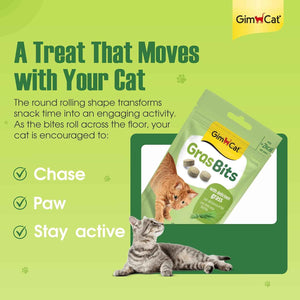 GimCat GrasBits – Grass-Flavoured Cat Treats with Vitamin D3 | 100 GrasBits