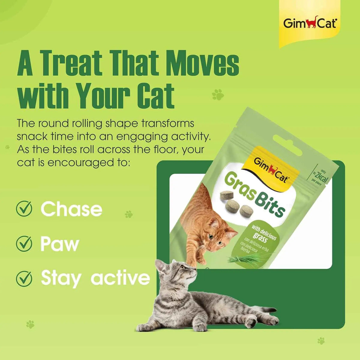 GimCat GrasBits | Cat Grass Treats with Vitamin D3 – 100 GrasBits (60g)
