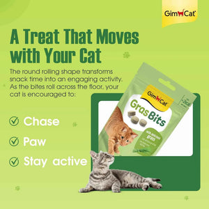 GimCat GrasBits | Cat Grass Treats with Vitamin D3 – 100 GrasBits (60g)