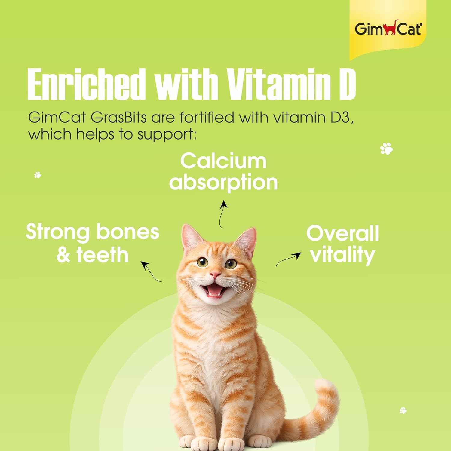 GimCat GrasBits – Grass-Flavoured Cat Treats with Vitamin D3 | 100 GrasBits