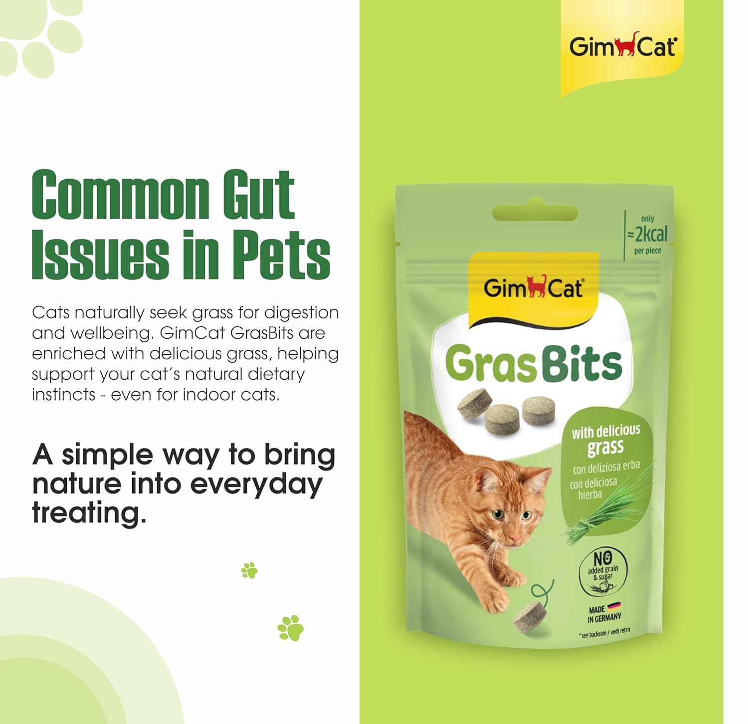 GimCat GrasBits – Grass-Flavoured Cat Treats with Vitamin D3 | 100 GrasBits
