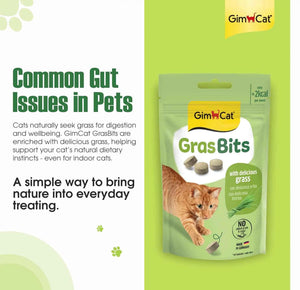GimCat GrasBits | Cat Grass Treats with Vitamin D3 – 100 GrasBits (60g)