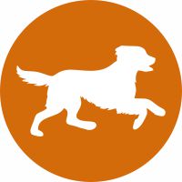 Advanced Joint & Mobility Support