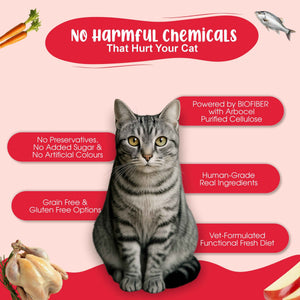 All-In-One Cat Food Trial Pack - Chicken & Tuna + Chicken & Salmon + K9 Immune + K9 Joint Care | 2+2+1+1