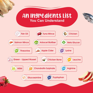 All-In-One Cat Food Trial Pack - Chicken & Tuna + Chicken & Salmon + K9 Immune + K9 Joint Care | 2+2+1+1