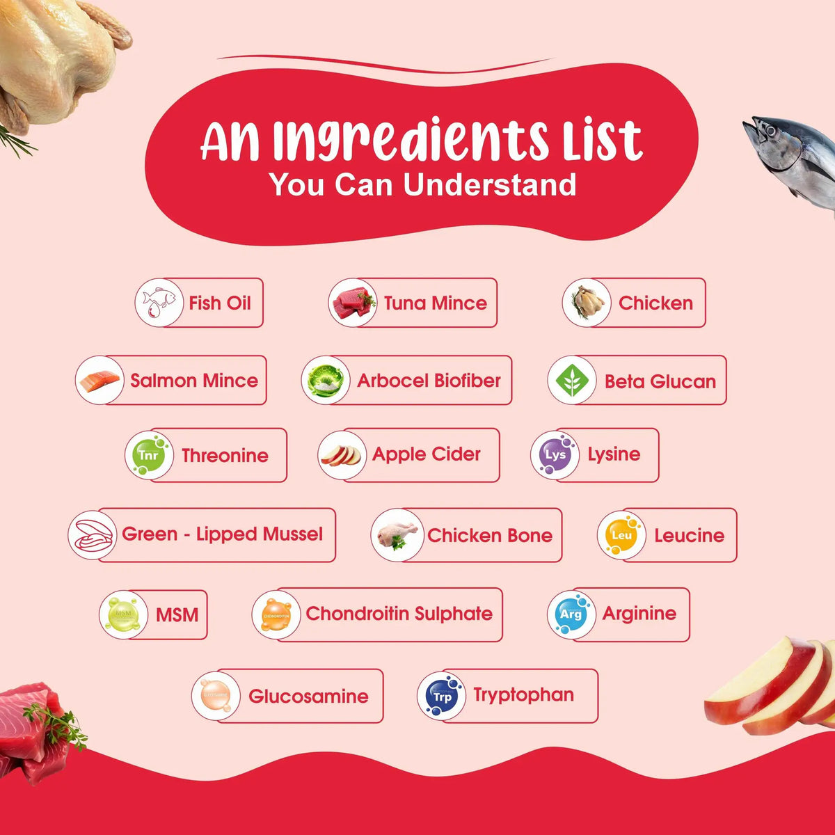 All-In-One Recipes Fresh Cat Food Trial Pack - Zero Preservatives | Pack of 6