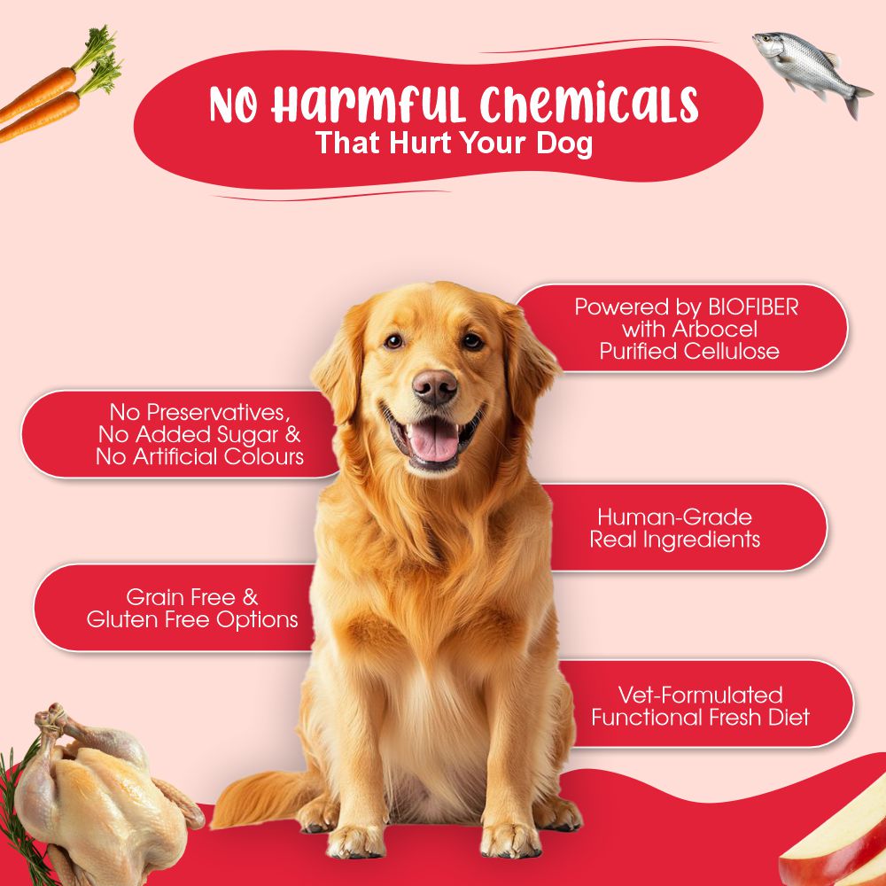 All-In-One Dog Food Trial Pack - General Food, Functional Food & Bone Broth