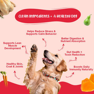 All-In-One Dog Food Trial Pack - General Food, Functional Food & Bone Broth