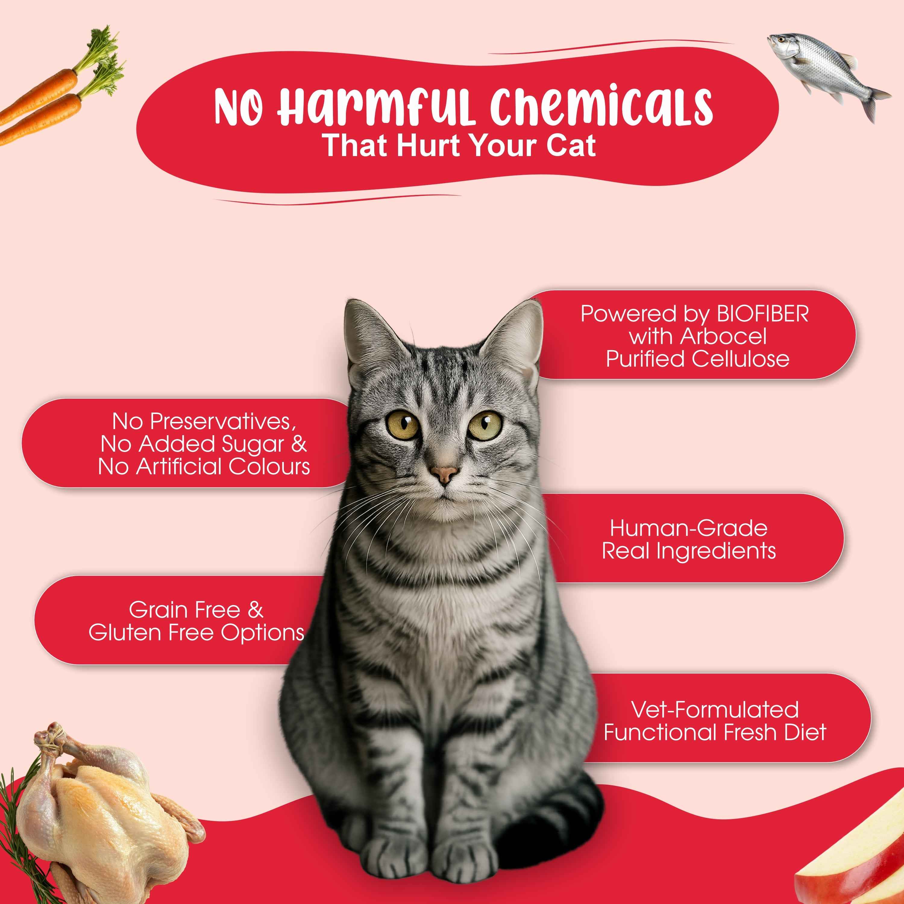 All-In-One Cat Food Trial Pack - Chicken & Tuna + Chicken & Salmon + K9 Immune + K9 Joint Care | 2+2+1+1