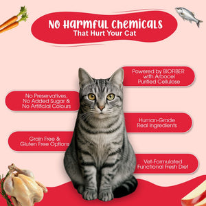 All Cat Monthly Pack (Chicken & Tuna | Chicken & Salmon | K9 Joint Care Broth | K9 Immune Broth) 5+5+5+5 (2–10 kg Cat)