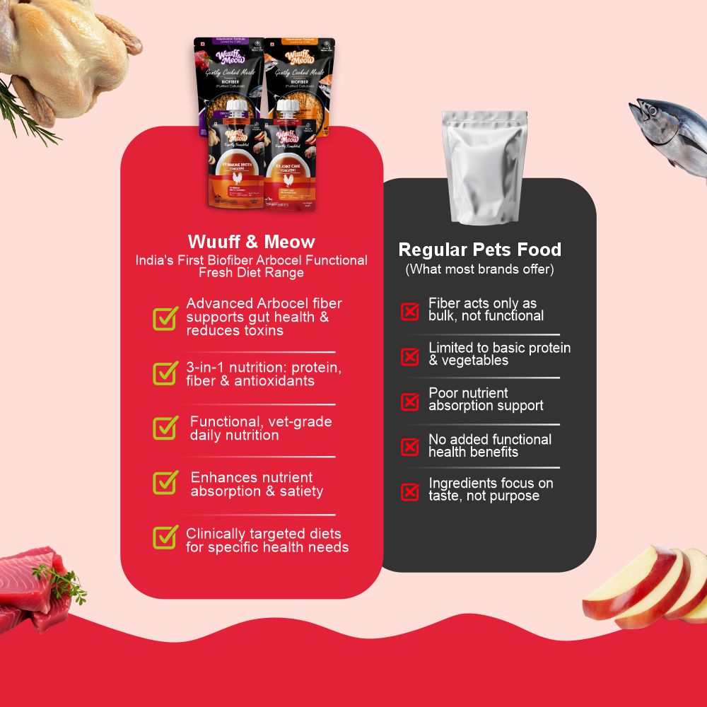 All Cat Monthly Pack (Chicken & Tuna | Chicken & Salmon | K9 Joint Care Broth | K9 Immune Broth) 5+5+5+5 (2–10 kg Cat)