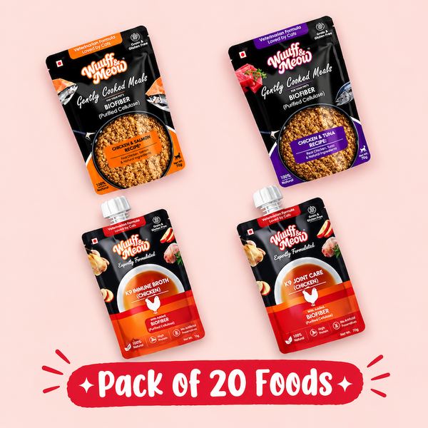 All Recipes Fresh Cat Food Monthly Pack - 100% Natural & Zero Preservatives | Pack of 20
