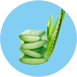 Aloe Vera Pulp - Soothes Gut Lining