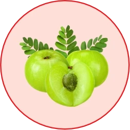 Amla — Pharmaceutical-Grade Immunity & Coat Support