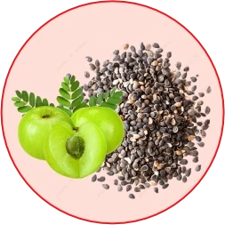 Amla + Chia Seeds — Antioxidant & Omega-3 Functional Complex