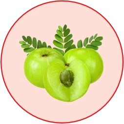 Amla Strengthens Immunity & Coat Health