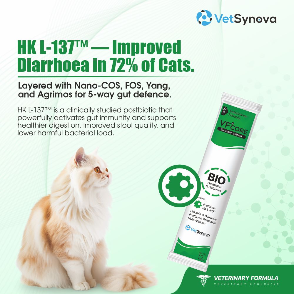 VFCore BIO — Postbiotic Gut & Immune Supplement for Cats | 12g Lickable Sachet