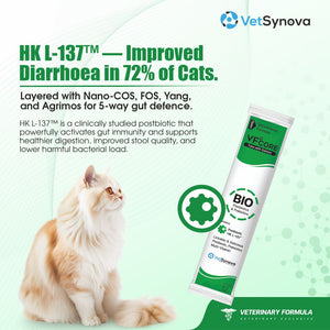 VFCore BIO — Postbiotic Gut & Immune Supplement for Cats | 12g Lickable Sachet