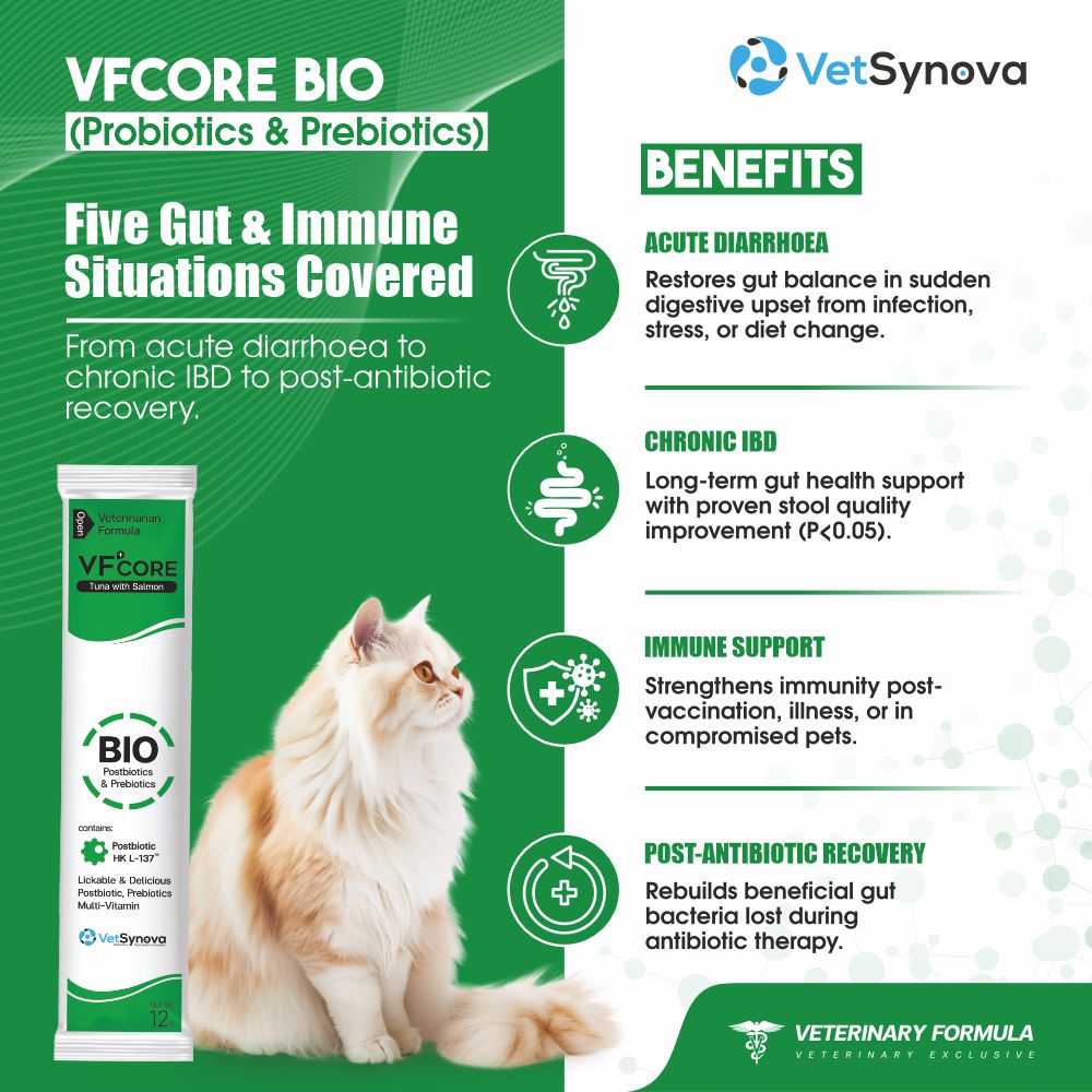 VFCore BIO — Postbiotic Gut & Immune Supplement for Cats | 12g Lickable Sachet
