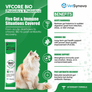 VFCore BIO — Postbiotic Gut & Immune Supplement for Cats | 12g Lickable Sachet