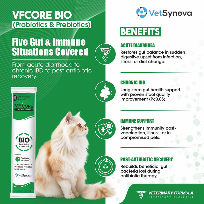 VFCore BIO — Postbiotic Gut & Immune Supplement for Cats | 12g Lickable Sachet