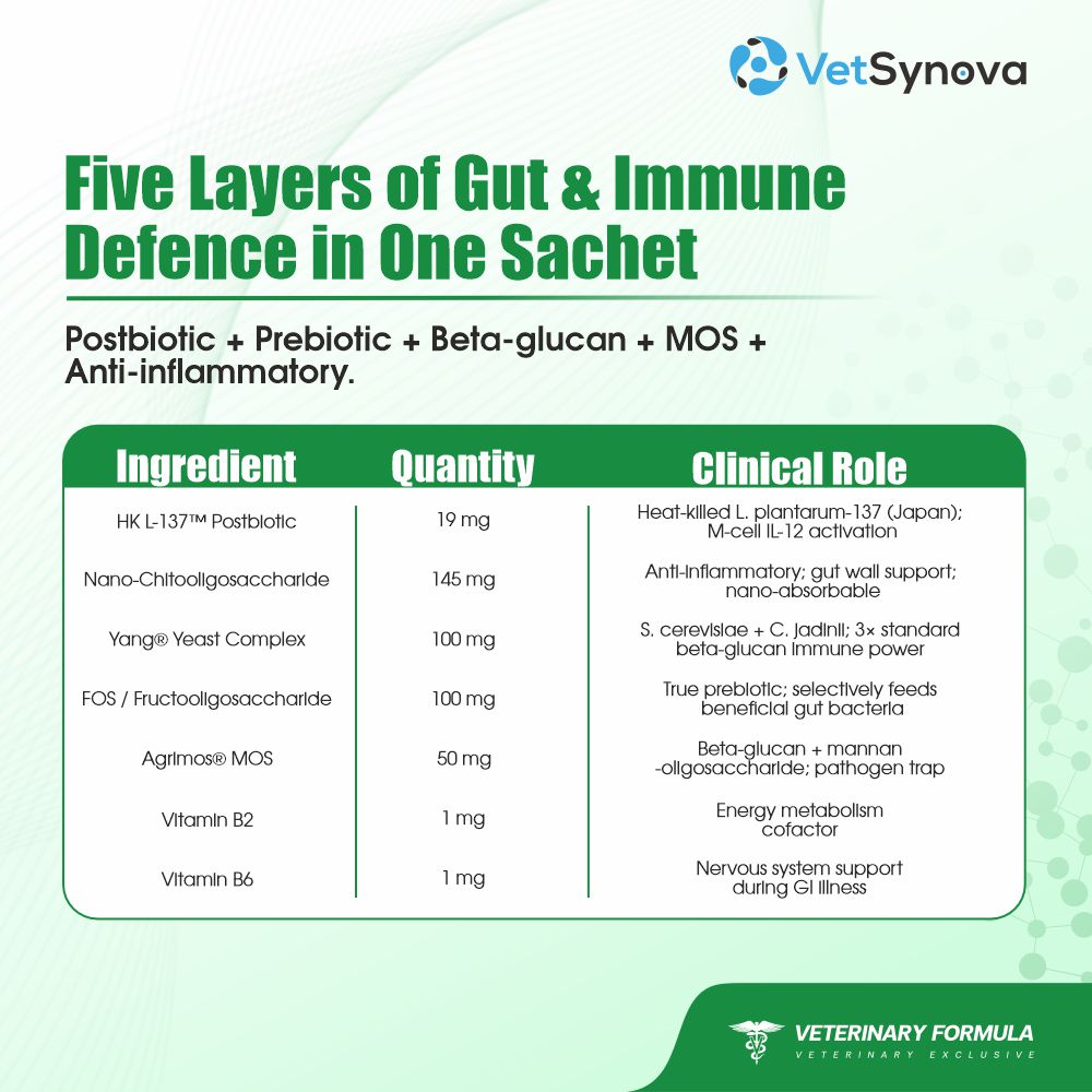 VFCore BIO — Postbiotic Gut & Immune Supplement for Cats | 12g Lickable Sachet