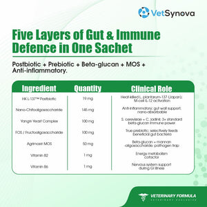 VFCore BIO — Postbiotic Gut & Immune Supplement for Cats | 12g Lickable Sachet