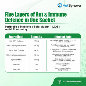 VFCore BIO Postbiotic Gut & Immune Supplement for Cats | Immune & Digestive Support