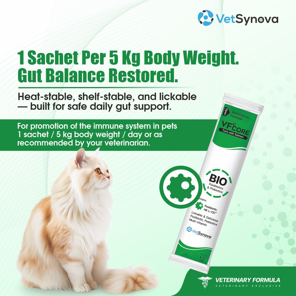 VFCore BIO — Postbiotic Gut & Immune Supplement for Cats | 12g Lickable Sachet