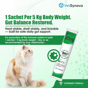 VFCore BIO — Postbiotic Gut & Immune Supplement for Cats | 12g Lickable Sachet