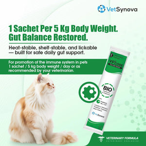 VFCore BIO Postbiotic Gut & Immune Supplement for Cats | Immune & Digestive Support