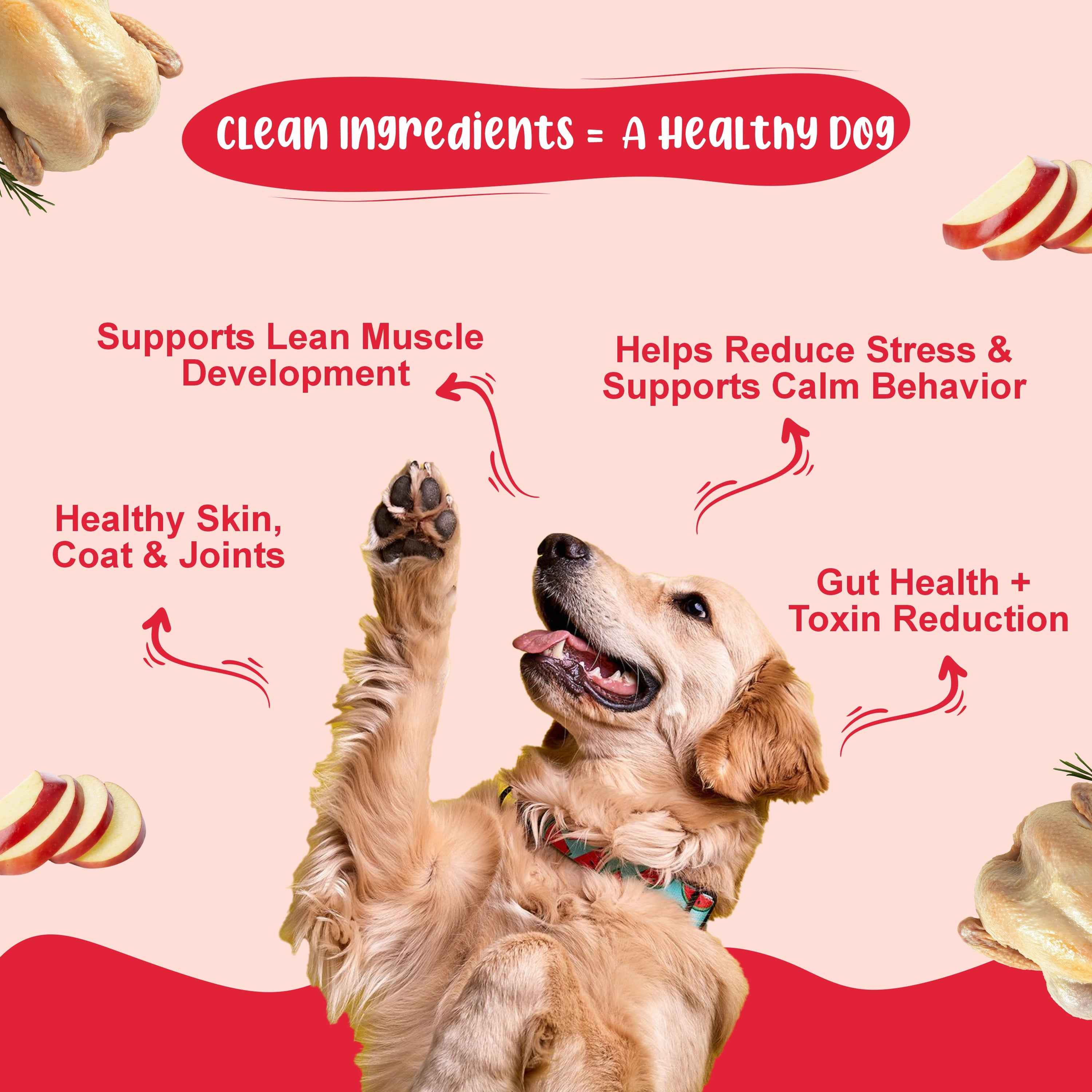 Bone Broth Discovery Duo Dog Food Trial Pack (K9 Joint Care | K9 Immune Care) 3+3